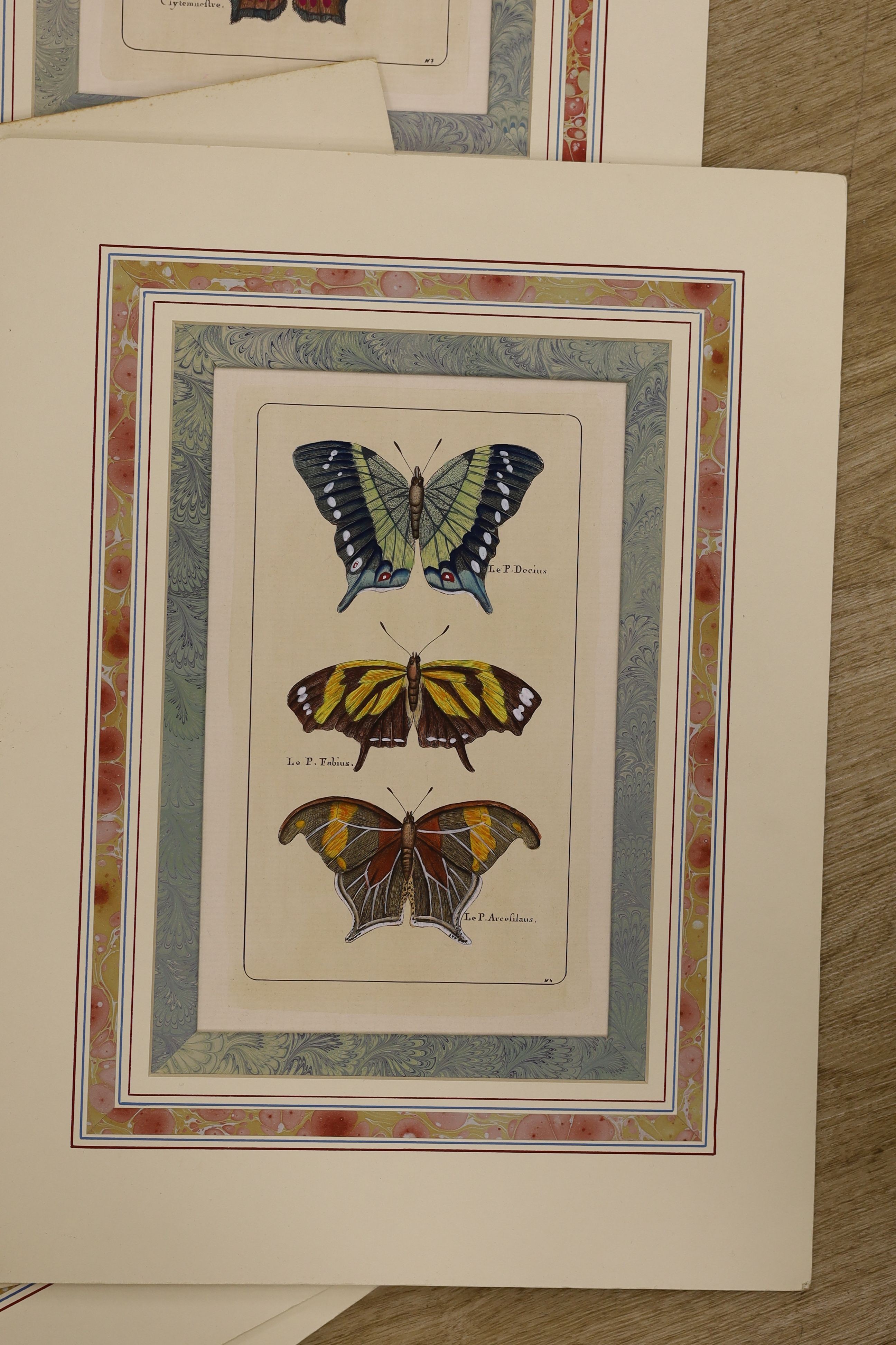 19th century French School, a set of ten hand coloured engravings, Studies of butterflies, 24 x 15cm, unframed